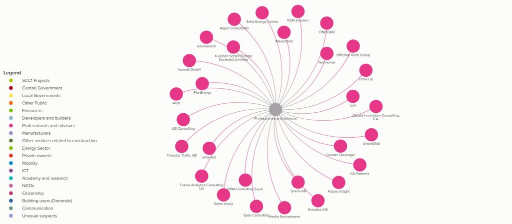 Close up of one stakeholder category: Professional and advisors